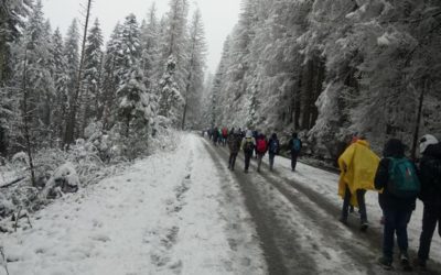 Wycieczka do Zakopanego