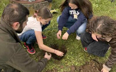 🌲Ósemka sadzi drzewa🌲
