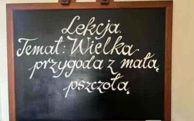 Wycieczka klas 2a i 2e do „Sądeckiego Bartnika” w Stróżach