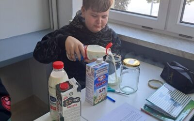 Doświadczenie imitujące procesy zachodzące w&nbsp;zakładzie mleczarskim