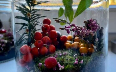 Podróż przez&nbsp;leśne warstwy – tworzymy miniaturowy las w&nbsp;słoiku
