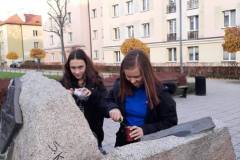 akcja-znicz18