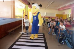 bezpieczenstwo z mrówką3
