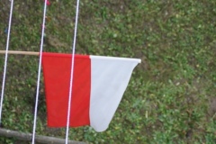 flaga 3
